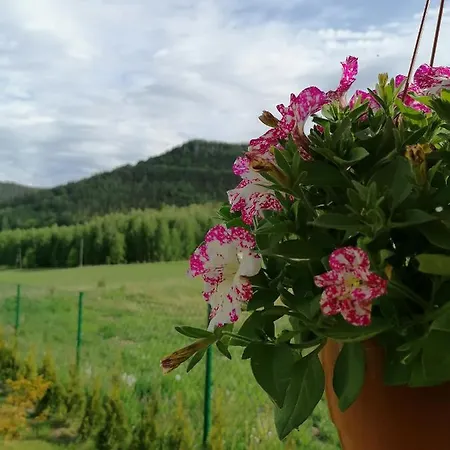 Pod Derkaczem Шале Радкув