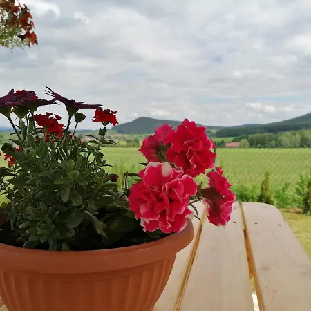 Alpstuga Pod Derkaczem Radkow