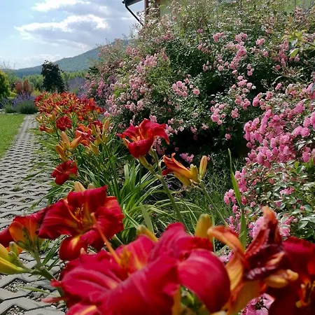 Pod Derkaczem رادكوف