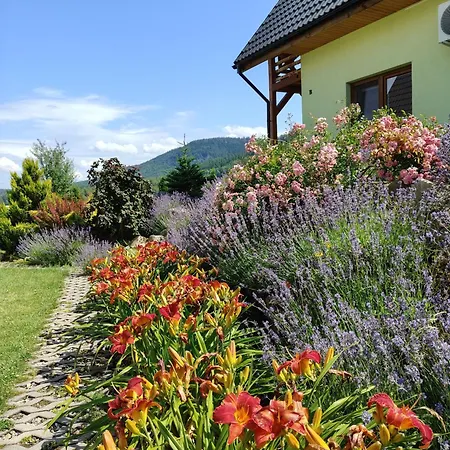 Pod Derkaczem Σαλέ Radkow