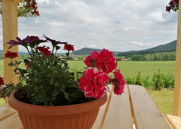 Alpstuga Pod Derkaczem Radkow