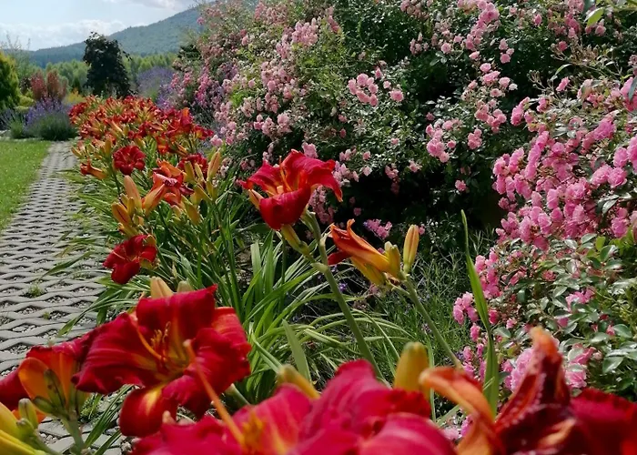 Pod Derkaczem Radkow